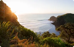 discover new zealand image 3